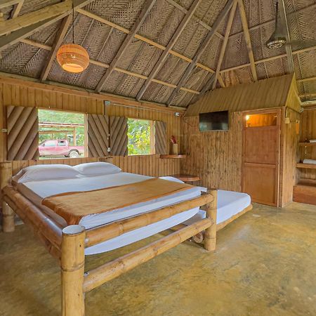 Tayrona Cachaco River Ecohostal เอลไซโน ภายนอก รูปภาพ