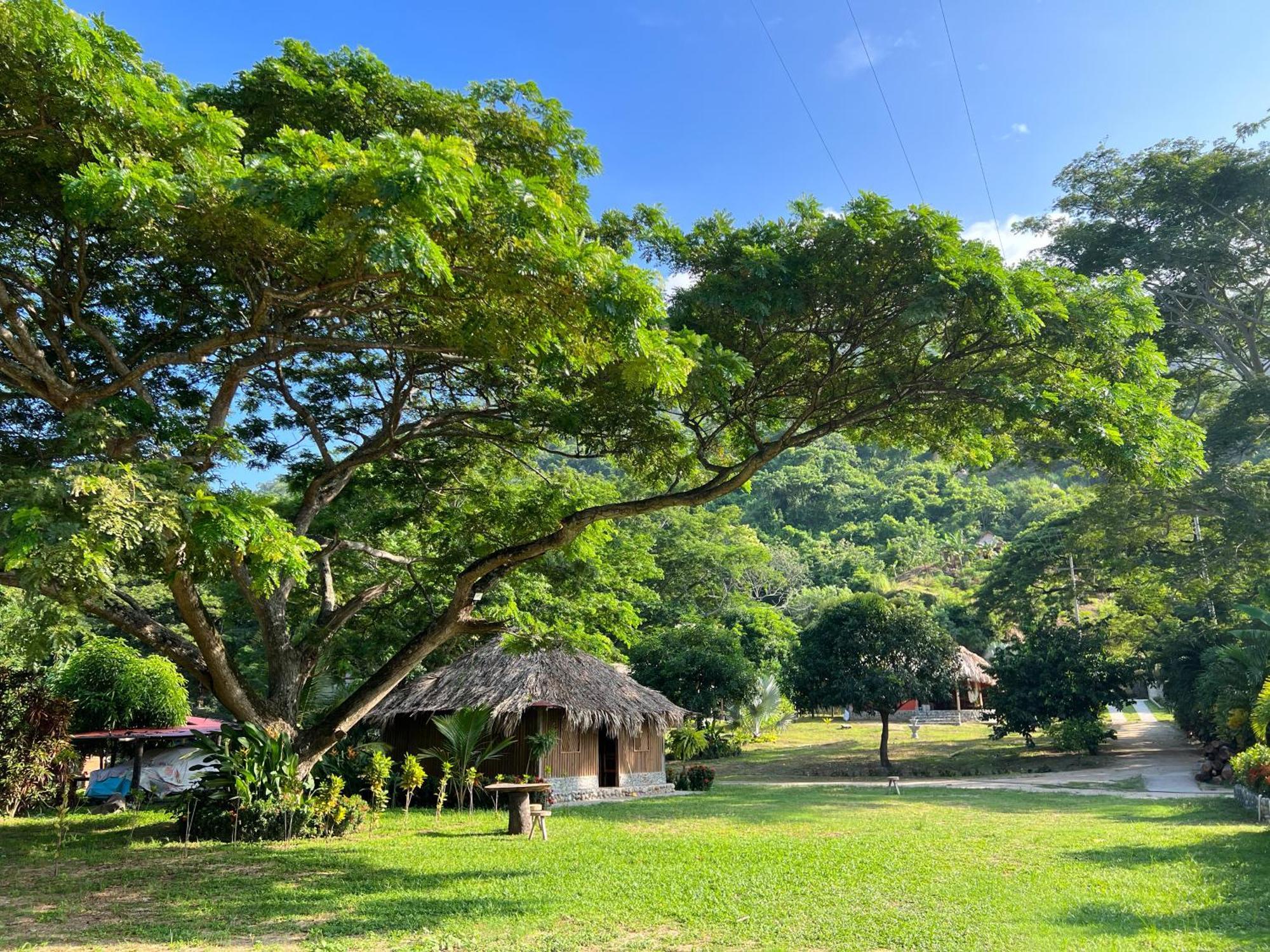 Tayrona Cachaco River Ecohostal เอลไซโน ภายนอก รูปภาพ