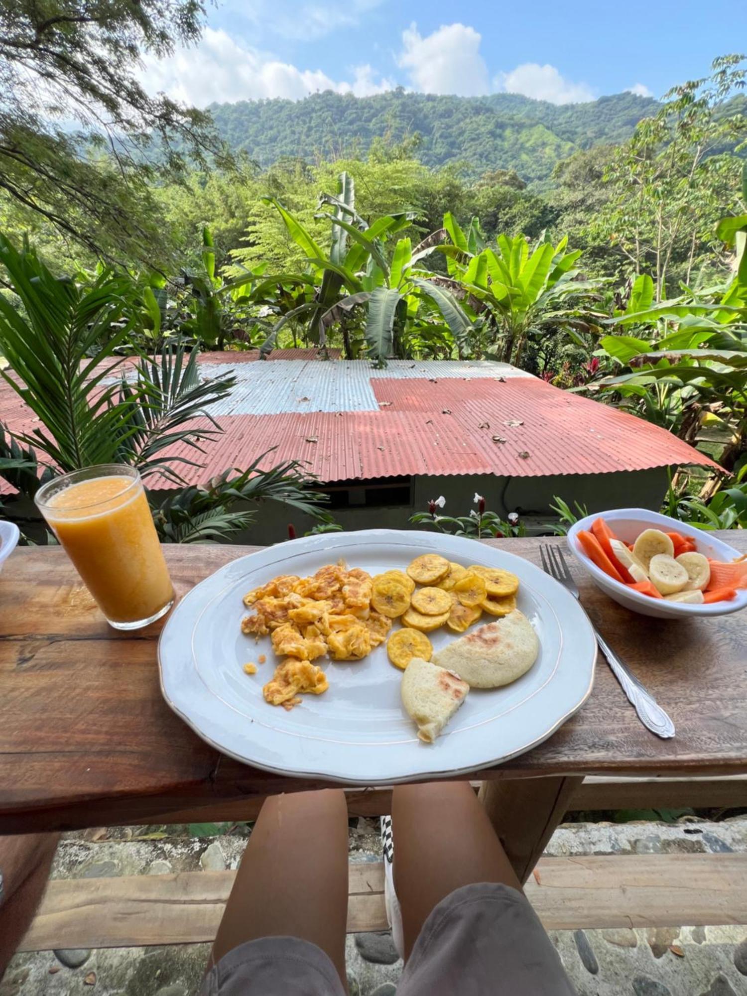 Tayrona Cachaco River Ecohostal เอลไซโน ภายนอก รูปภาพ