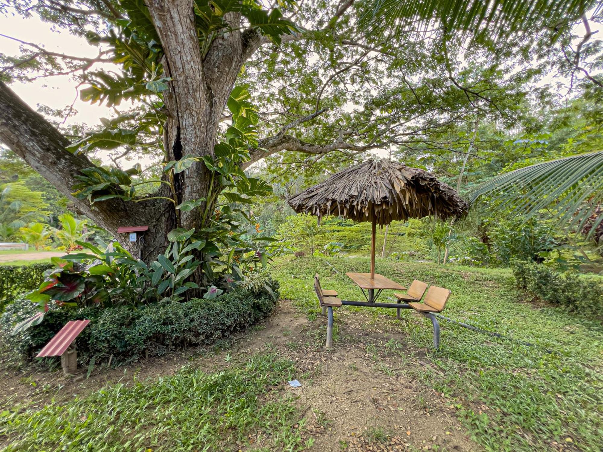 Tayrona Cachaco River Ecohostal เอลไซโน ภายนอก รูปภาพ